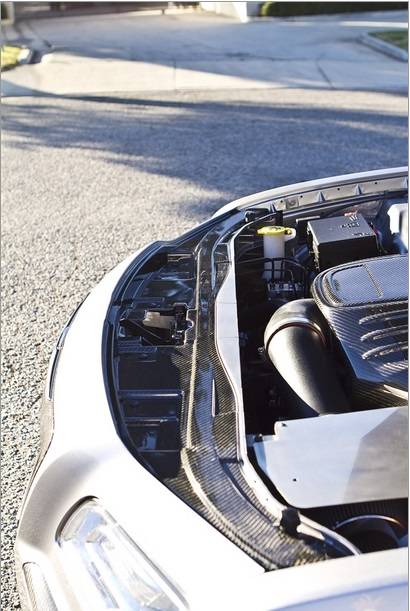 TruCarbon LG134 Carbon Fiber Radiator Cover: Chrysler 300 2011 - 2014