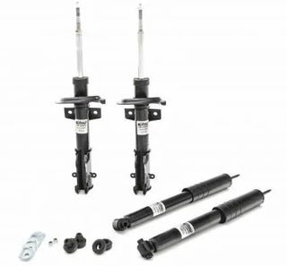 Hemi Shocks