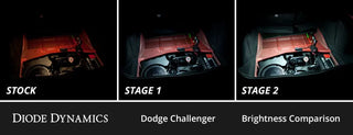 Diode Dynamics Interior LED Kit Stage 2: Dodge Challenger (2008-2014) Cool White