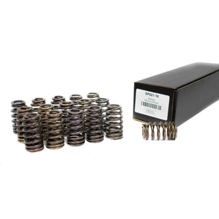 BTR DROP-IN SPRINGS 2009+ 5.7 HEMI LIKE 68277306AA - .625 LIFT - 16PC KIT - SP021-16