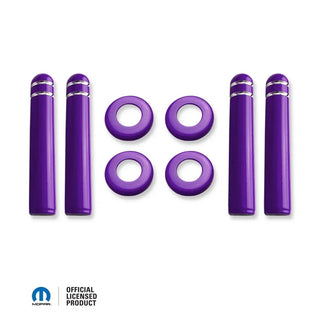 American Brother Designs Custom Interior Kit Bezels and Pins: Dodge Charger 2011 - 2014