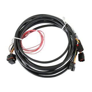 Holley EFI Drive-By-Wire Dual Throttle Body Harness: Chrysler 300 (05-15) / Dodge Ram 1500 (03-10)