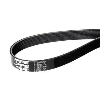 PPE Single Alternator: Ram 2003-2012 5.9L / 6.7L Serpentine Belt