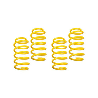 ST Suspensions ST Sport Lowering Spring Kit: Chrysler 300 (05-10) / Dodge Charger (06-10) / Magnum (05-08)