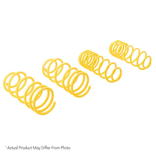 ST Suspensions ST Sport Lowering Spring Kit: Chrysler 300 (05-10) / Dodge Charger (06-10) / Magnum (05-08)