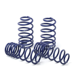 H&R Sport Springs: Dodge Charger 2006 - 2010 w/ Nivomat Only