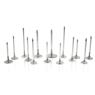 Ferrea Exhaust Valve Set of 8: N/A