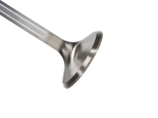 Manley Race Master 1.625in Exhaust Valves (Set of 8): Fits Chrysler / Dodge / Ram (02-23)