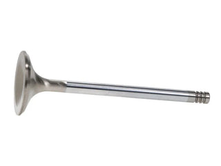 Manley Race Master 1.625in Exhaust Valves (Set of 8): Fits Chrysler / Dodge / Ram (02-23)