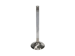 Manley Race Master 1.625in Exhaust Valves (Set of 8): Fits Chrysler / Dodge / Ram (02-23)