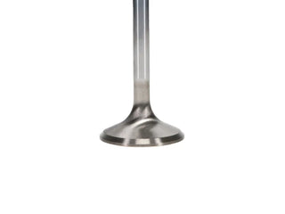 Manley Race Master 1.625in Exhaust Valves (Set of 8): Fits Chrysler / Dodge / Ram (02-23)