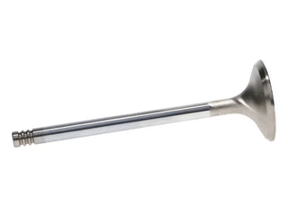 Manley Race Master 1.625in Exhaust Valves (Set of 8): Fits Chrysler / Dodge / Ram (02-23)