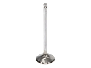 Manley Performance Race Master Exhaust Valve Set 1.595in Bead Loc Groove (SET): Chrysler 6.1L HEMI 2005-2010