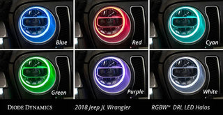 Diode Dynamics RGBW HD LED Halos: Jeep Wrangler / Gladiator (2018-2026)