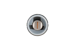 Diode Dynamics White SL2 LED Bulbs (PAIR): Fits Dodge (94-05)