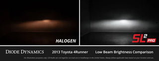 Diode Dynamics White SL2 Pro LED Bulbs: Dodge Charger (11-14) / Durango (11-20)