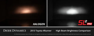 Diode Dynamics White SL2 Pro LED Bulbs: Dodge Charger (11-14) / Durango (11-20)