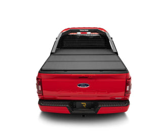 BackRack Cab Safety Screen: Ram 1500 2019-2024 - Black