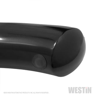 Westin Stainless Steel PRO TRAXX 4 Oval Nerf Step Bars: Ram 1500 (2019-2025)