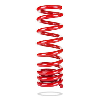 Pedders Rear Spring Low Nivomat Conversion: Fits Chrysler / Dodge (05-24)