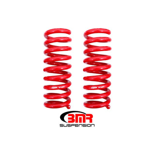 BMR Rear Lowering Springs (Set of 2): Dodge Challenger 2008 - 2023 (All Models)
