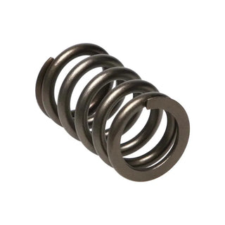 Manley Performance Dodge SRT-4 16pc Valve Springs: Multiple Dodge Fitments
