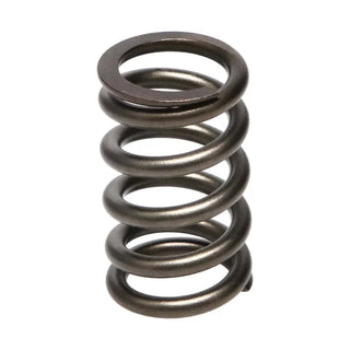 Manley Performance Dodge SRT-4 16pc Valve Springs: Multiple Dodge Fitments