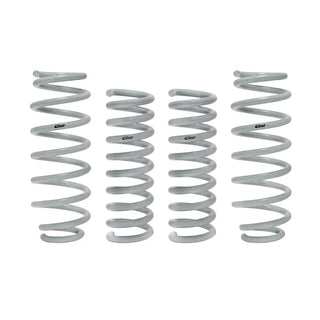 Eibach Drag-Launch Springs (Competition Kit): 300 / Challenger / Charger / Magnum 2005 - 2024 (All RWD Models)