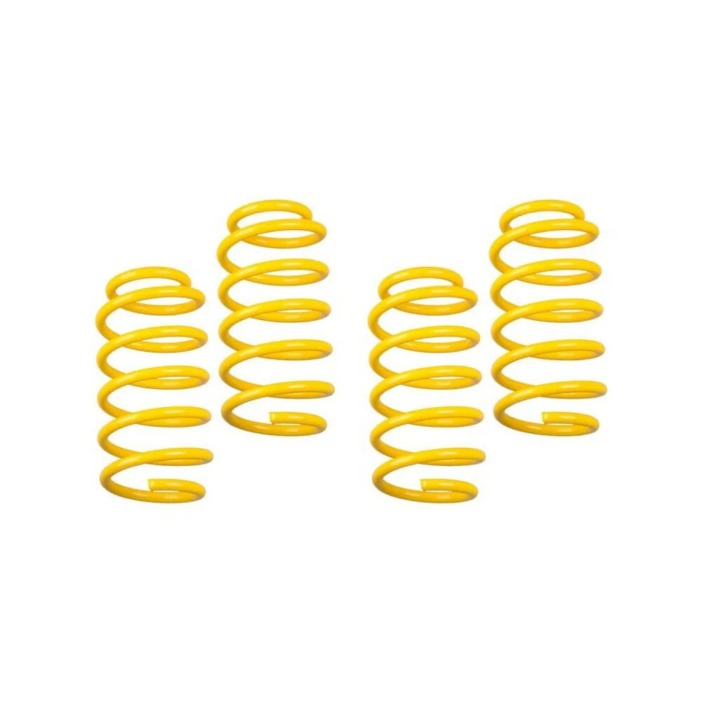 FastHemis Chrysler 300/Dodge Charger Lowering Spring Kit
