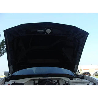 TruCarbon A58 Carbon Fiber Hood: Dodge Charger 2011 - 2014