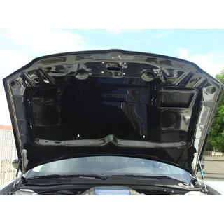 TruCarbon A23 Carbon Fiber Hood: Dodge Magnum 2005 - 2007