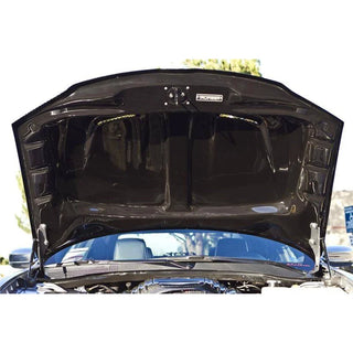 TruCarbon A71 Carbon Fiber Hood: Chrysler 300 2011 - 2024