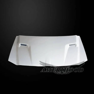 Amerihood CLG Functional Ram Air Hood: Dodge Magnum 2005 - 2007