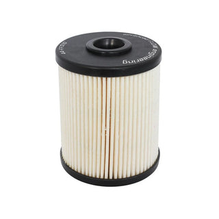 aFe Pro GUARD D2 Fuel Filter: Dodge Ram 2500 (00-09) / Ram 3500 (00-07)