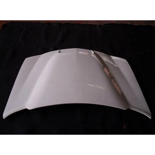 TruFiber A9 Fiberglass Hood: Dodge Charger 2006 - 2010
