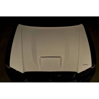 TruFiber A23 Hood: Dodge Charger 2011 - 2014