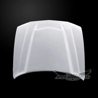Amerihood RS Functional Ram Air Hood: Dodge Charger 2011 - 2014