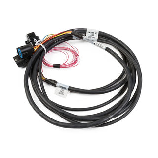 Holley EFI Gen III HEMI Drive-By-Wire Harness: Chrysler 300 (05-15) / Dodge Ram 1500 (03-10)