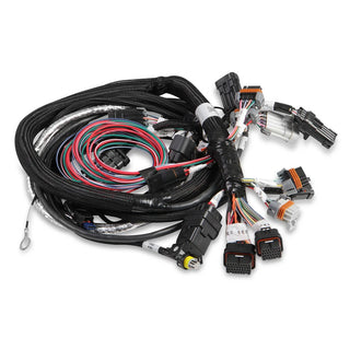 Holley EFI Gen III HEMI Main Harness w/ TPS and Idle Air Control Connections: Chrysler 300 (05-15) / Dodge Ram 1500 (03-10)