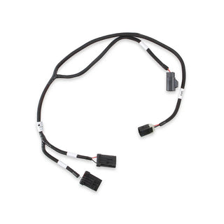 Holley EFI Gen III Hemi VVT and SRV Plug and Play Harness: Chrysler 300 (05-15) / Dodge Ram 1500 (03-10)
