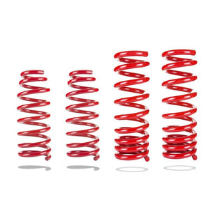Pedders Sports Ryder Lowering Springs: 300 / Challenger / Charger / Magnum RWD 2005 - 2010