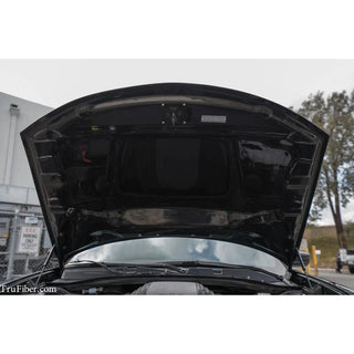 TruCarbon A80 Carbon Fiber Hood: Dodge Charger 2015 - 2023