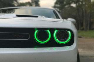 Diode Dynamics RGBW DRL LED Boards: Dodge Challenger (2015-2023)