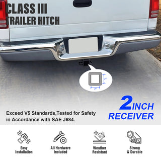 APS Carbon Rear Hitch (Class 3): Dodge Dakota 1997 - 2004