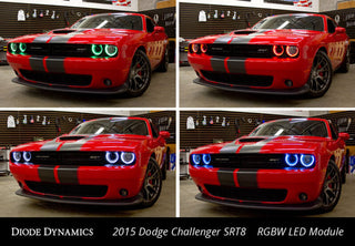 Diode Dynamics RGBW DRL LED Boards: Dodge Challenger (2015-2023)