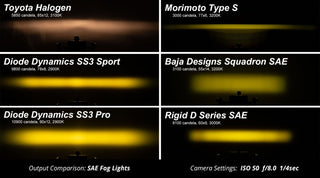 Diode Dynamics SS3 Pro Ram Horiz Kit White SAE Fog: Ram 2011-2018 5.7L/6.7L Diesel