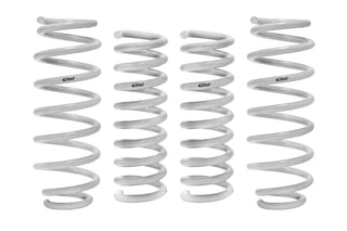 Eibach Drag-Launch Springs Kit (Competition): Fits Chrysler 300 / Dodge Challenger / Charger 2005-2024 RWD