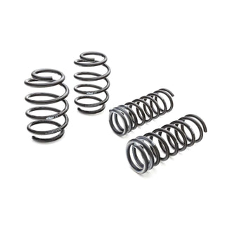 Eibach Pro-Kit Lowering Springs: Dodge Charger 12-23 6.4L/6.2L