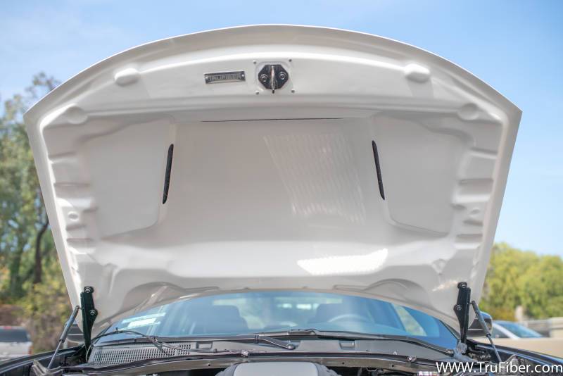 TruFiber A80 Fiberglass Hood: Dodge Charger 2015 - 2023