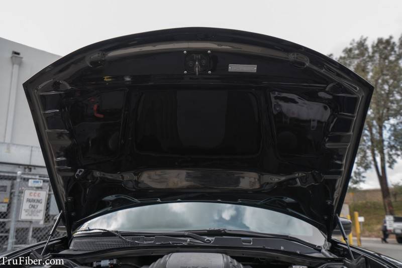 TruCarbon A80 Carbon Fiber Hood: Dodge Charger 2015 - 2023
